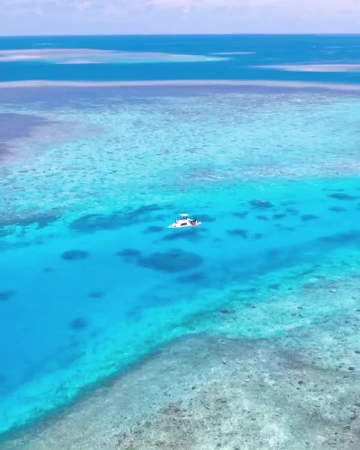 Tropical Boat View: Aerial Video of Coral Reef