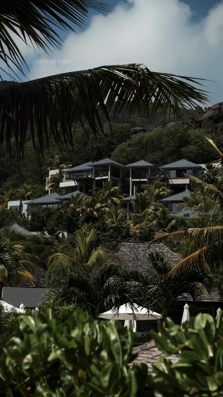 Paddleboarding Paradise: Tropical Beaches and Jungle Waterfalls