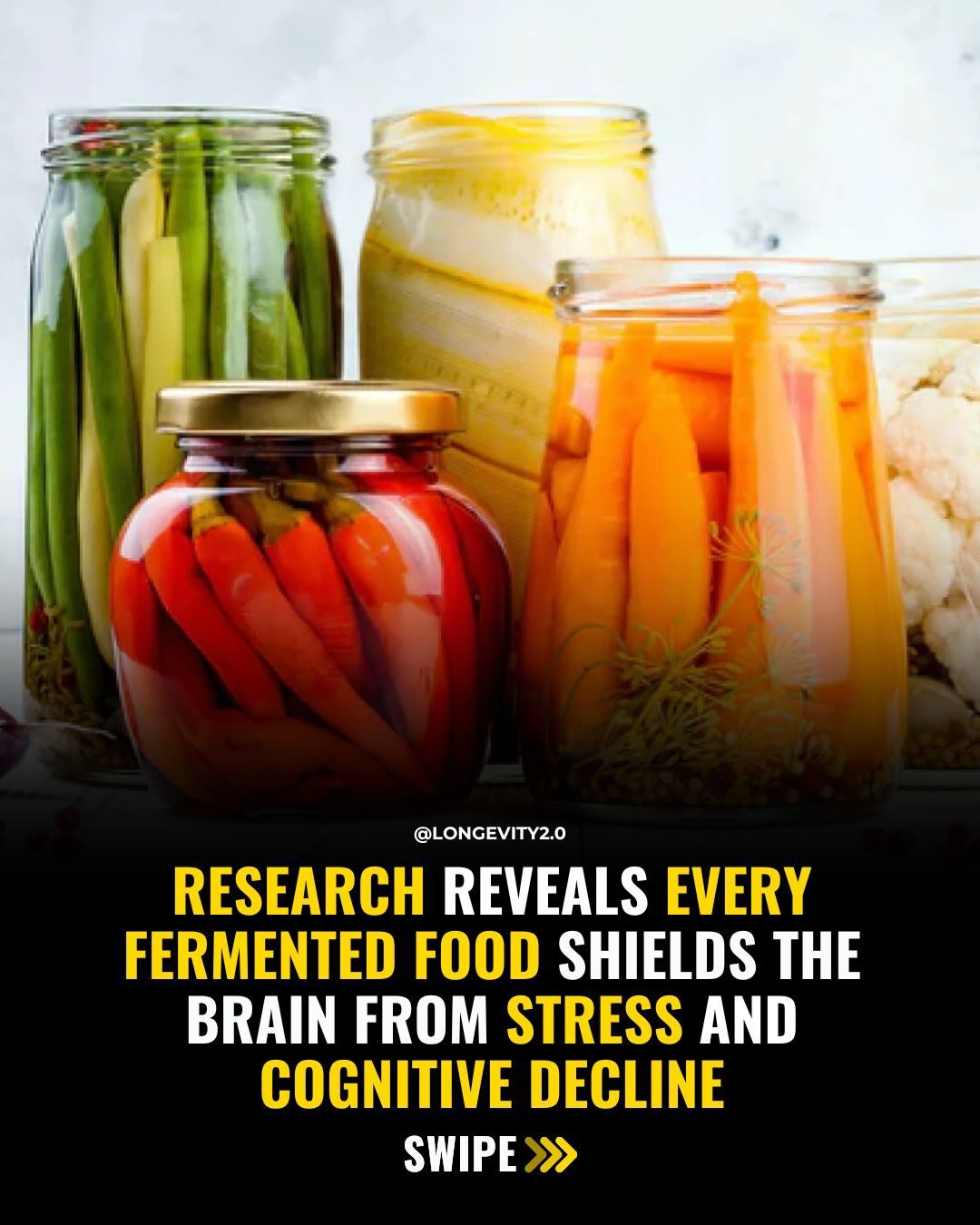How Fermented Foods Protect Your Brain from Stress and Decline