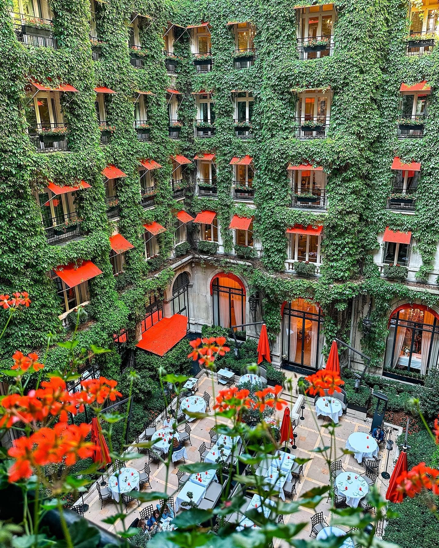 Parisian Elegance: From Courtyard Cafes to Luxurious Hotels