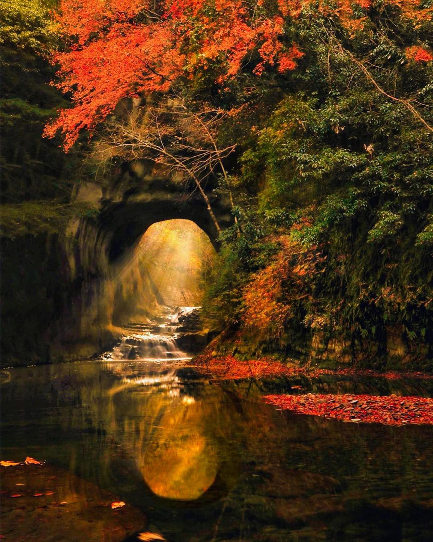 Autumn Foliage Landscape with Stream and Rock Formation