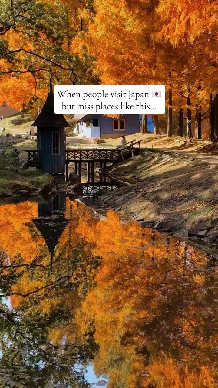 Discover Hidden Japan: 47 Prefectures Beyond Tokyo and Kyoto