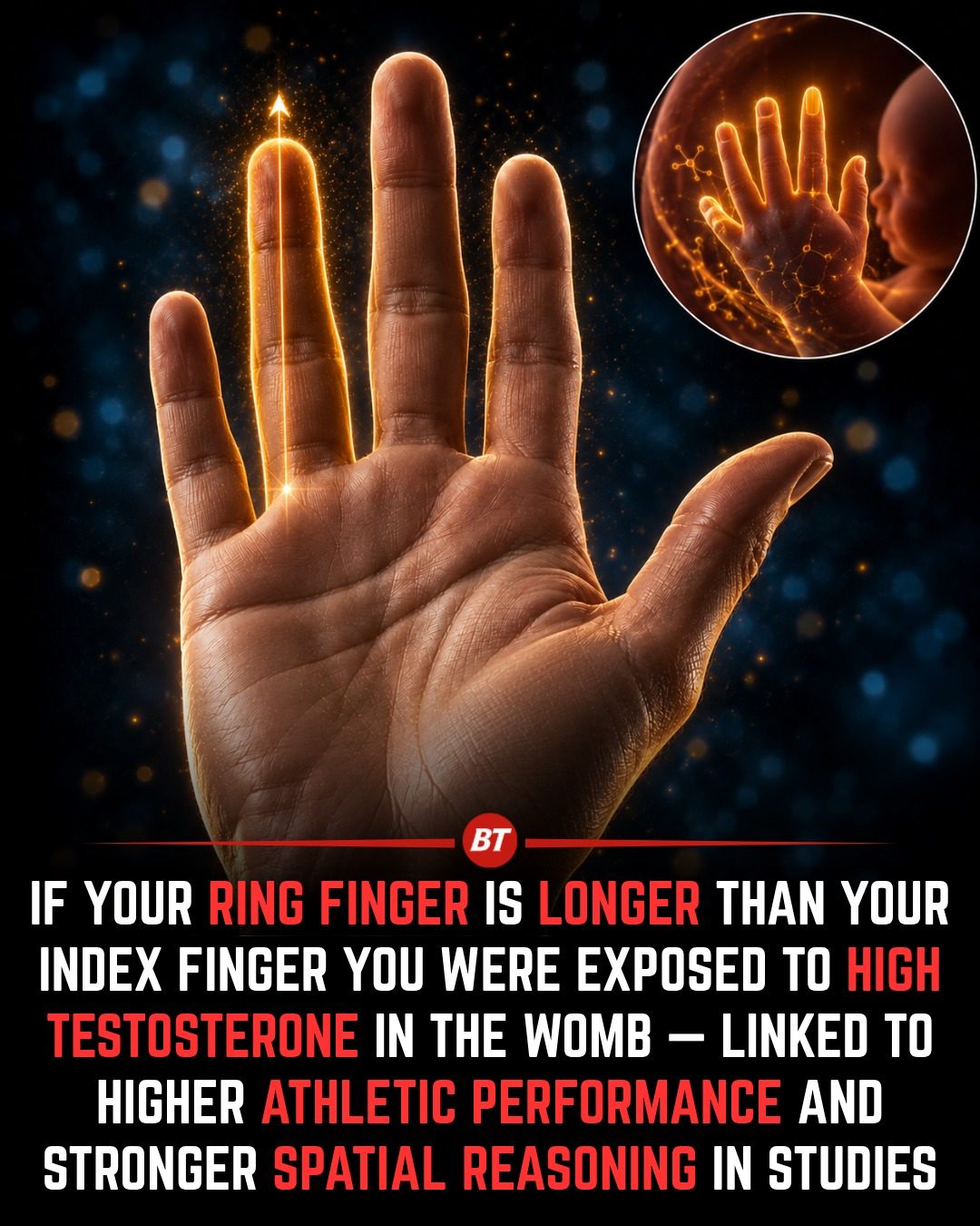Understanding Your Finger Length: Testosterone & Development
