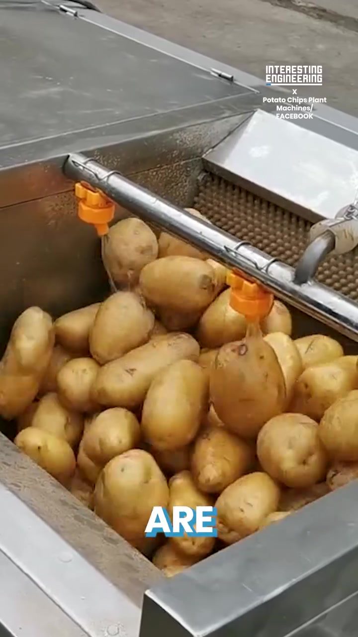 The Machine Behind Your Favorite Potato Chips