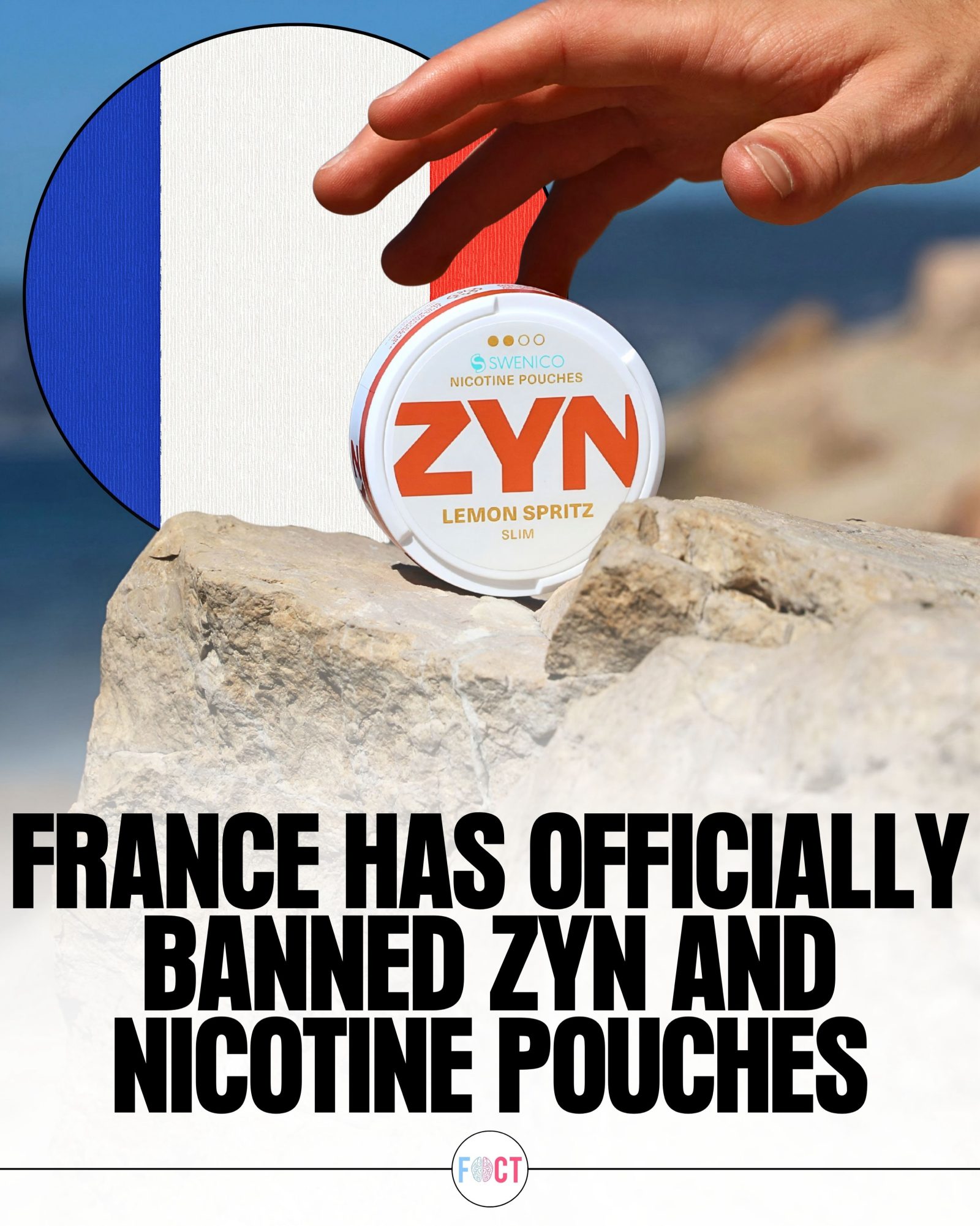 France's Ban on ZYN Nicotine Pouches: What You Need to Know