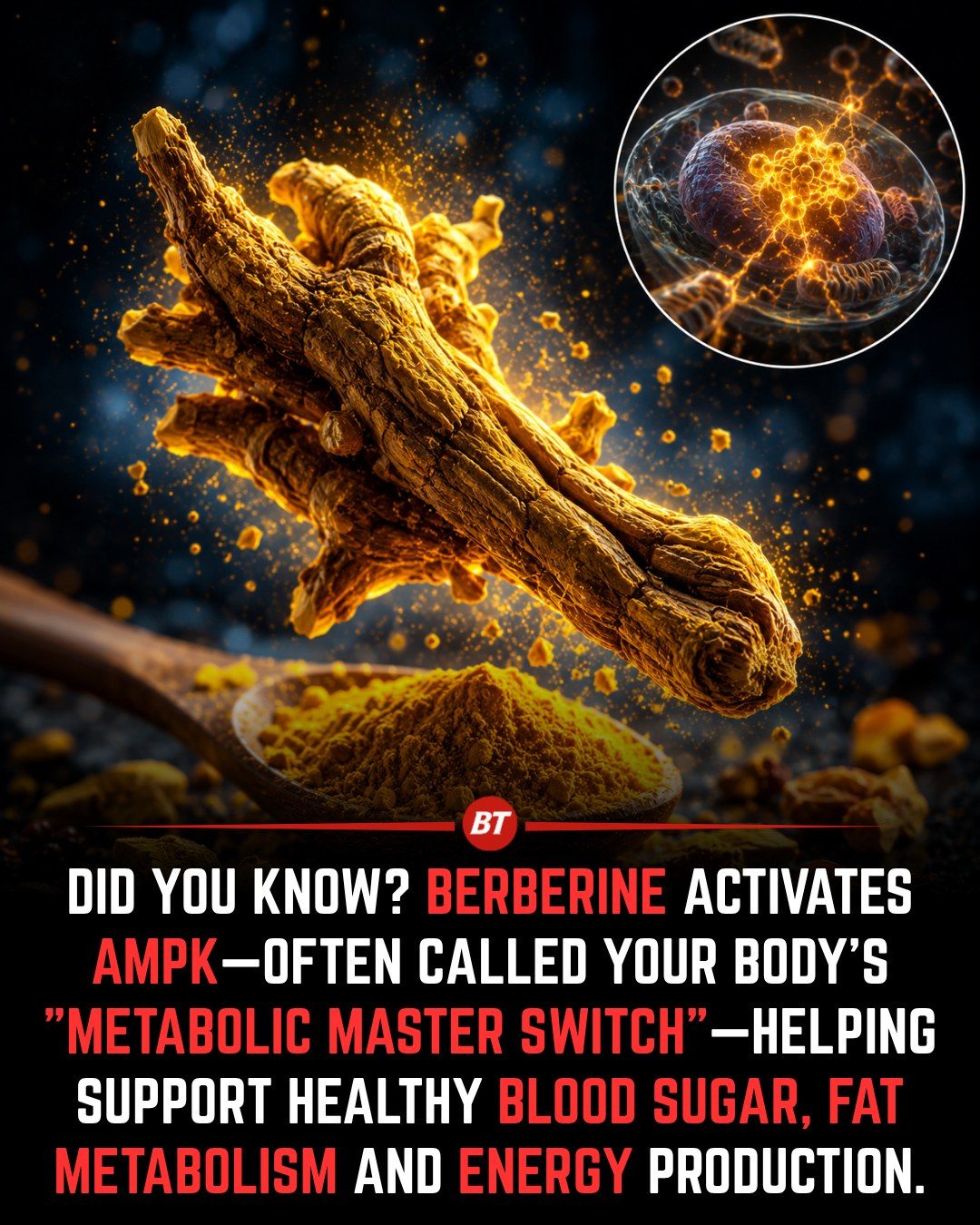 Berberine Benefits: AMPK Activation for Metabolic Health