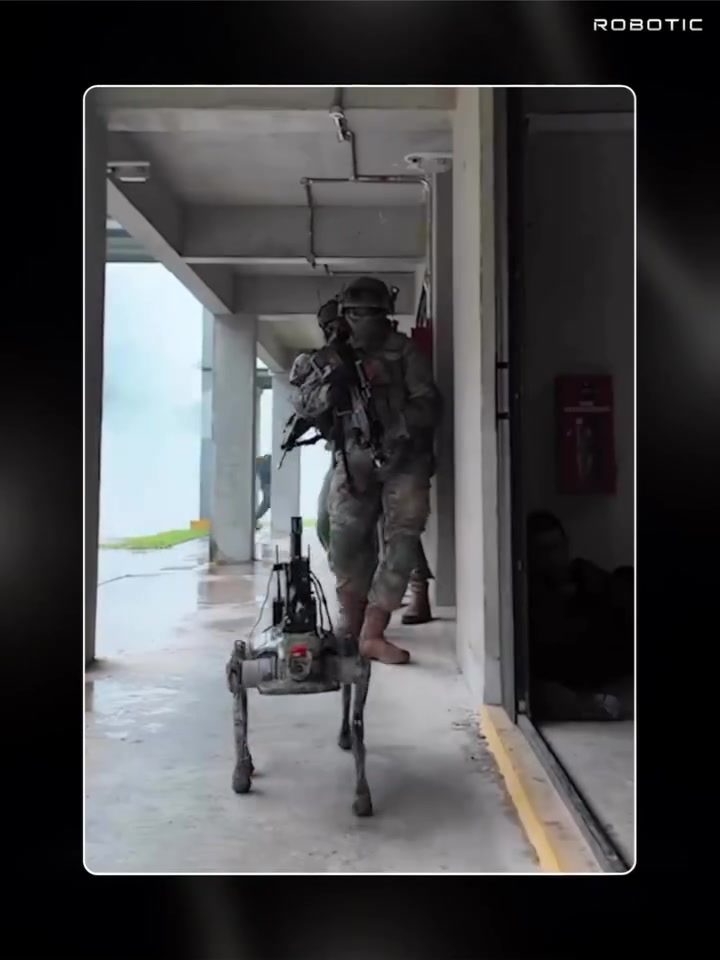 Military's Robotic Dogs: Future of Battlefield Automation