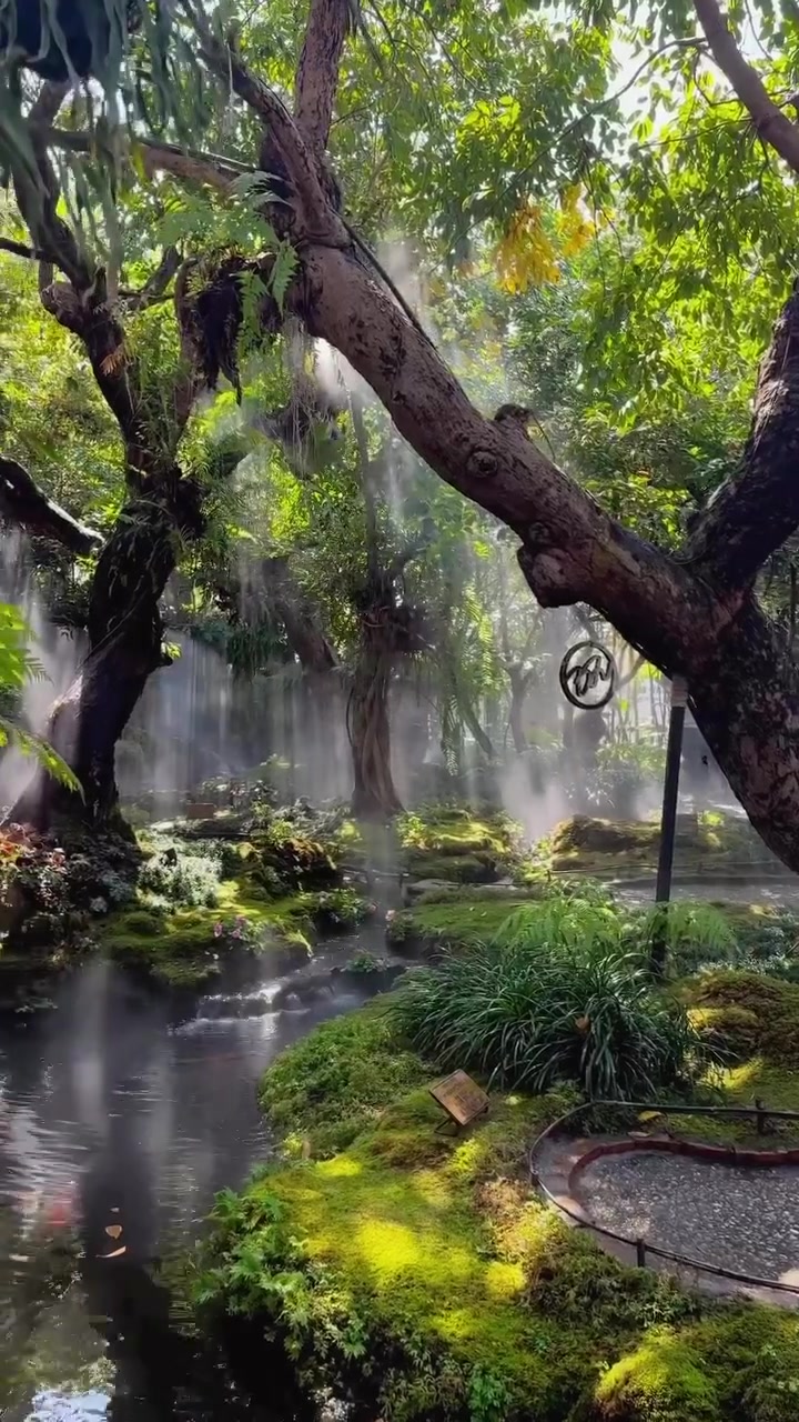 Chiang Mai's Lush Rainforest Vibe: A Nature Lovers Paradise