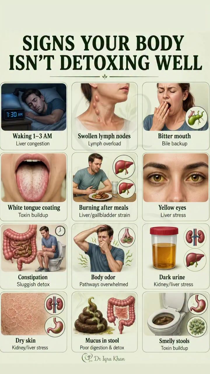 Detox Symptoms: When to Worry About Liver, Kidney, and Digestive Health