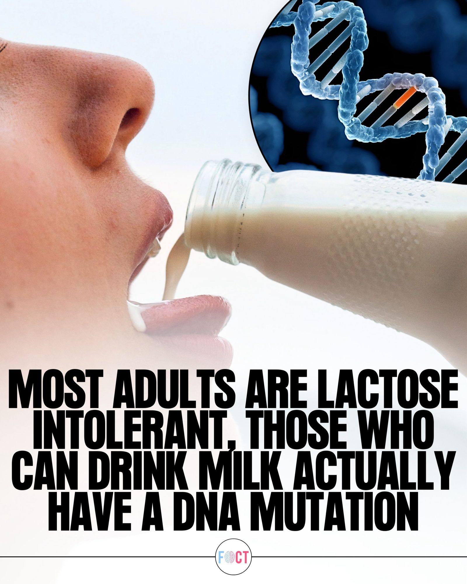 Lactose Intolerance: Why Most Adults Can't Drink Milk