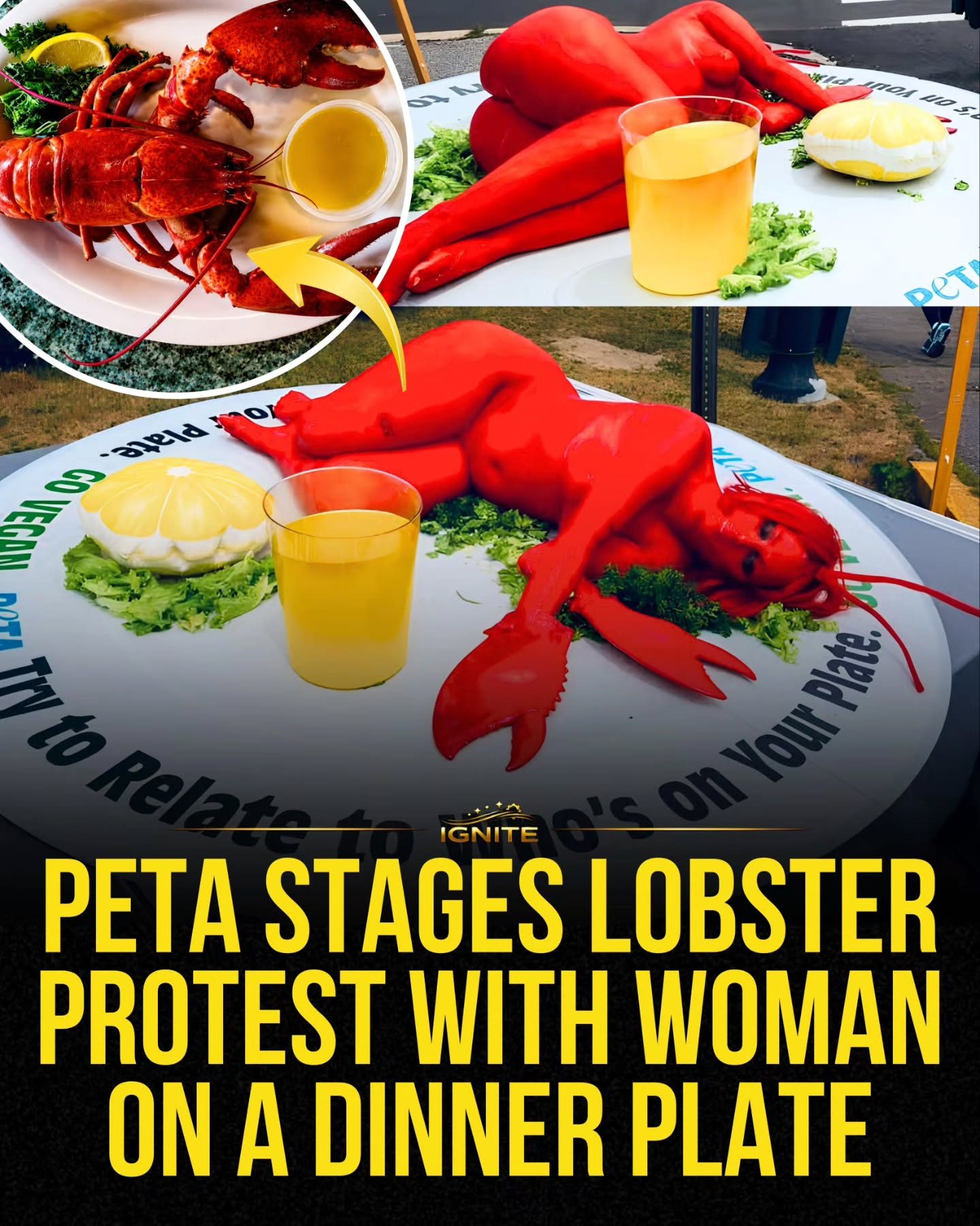 PETA's Dramatic Lobster Protest Promotes Veganism