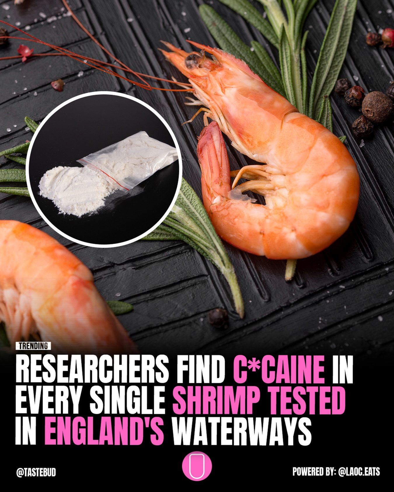 Shrimp in England's Rivers Found Contaminated with Cocaine