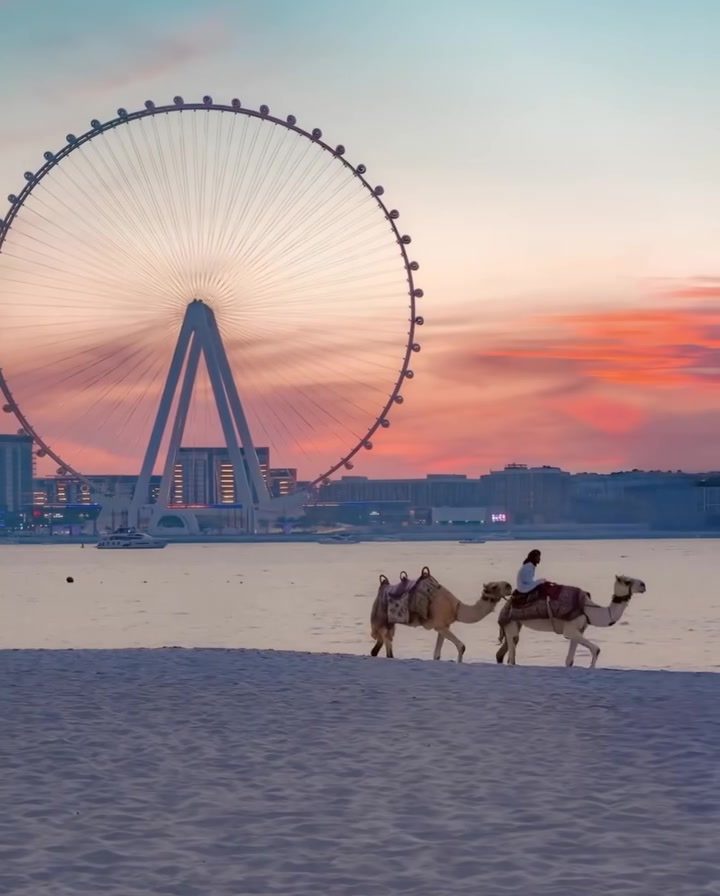 Experience Tranquil Dubai Sunset with Camels and Ain Dubai