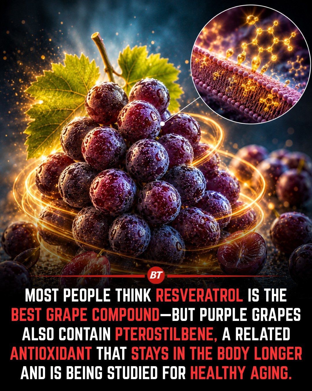 Purple Grape Compound Pterostilbene May Aid Healthy Aging