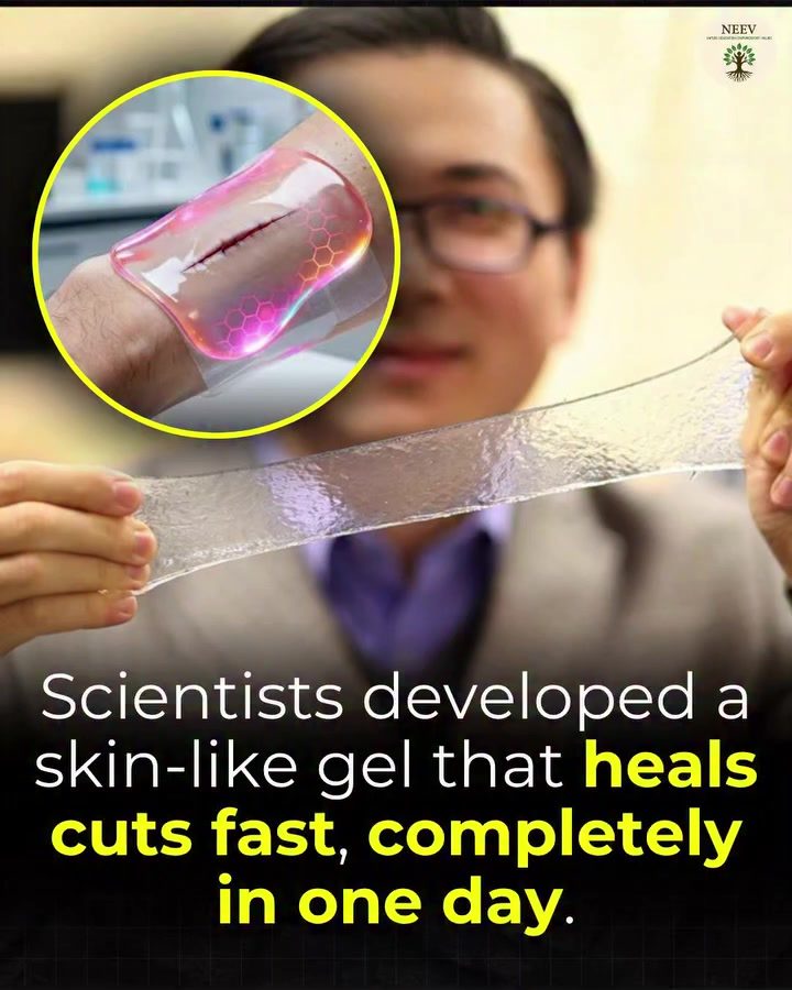 Incredible Self-Healing Skin Gel Mimics Human Skin to Repair Damage in 24 Hours
