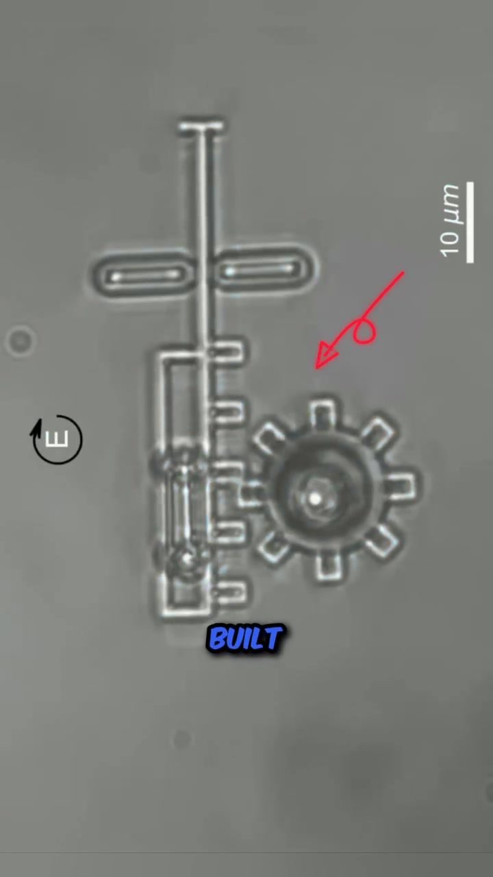 Microscopic Gears Powered by Light: Revolutionizing Micro-Robotics