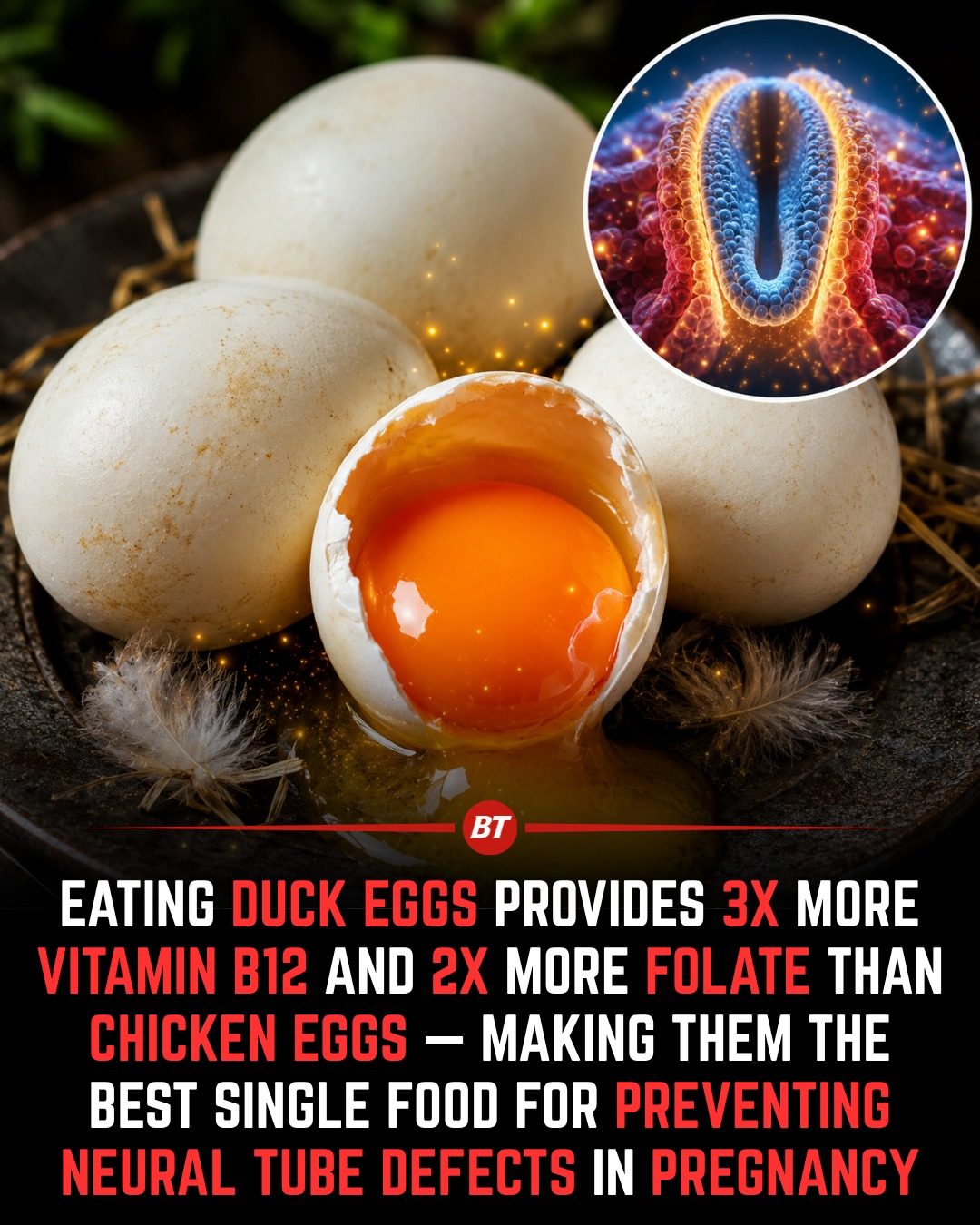 Why Duck Eggs Are a Nutritional Powerhouse