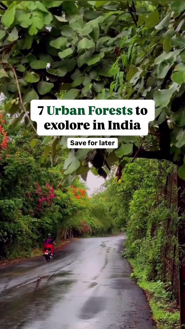 Urban Forests in India: Top Destinations for an Eco-Friendly Escape