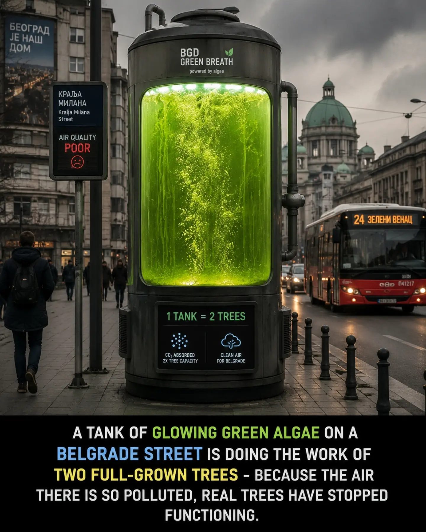 BGD Green Breath: How Algae is Fighting Pollution in Belgrade