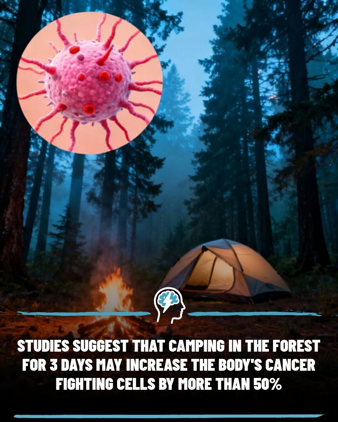 Forest Bathing: Boost Immune Cells in 3 Days