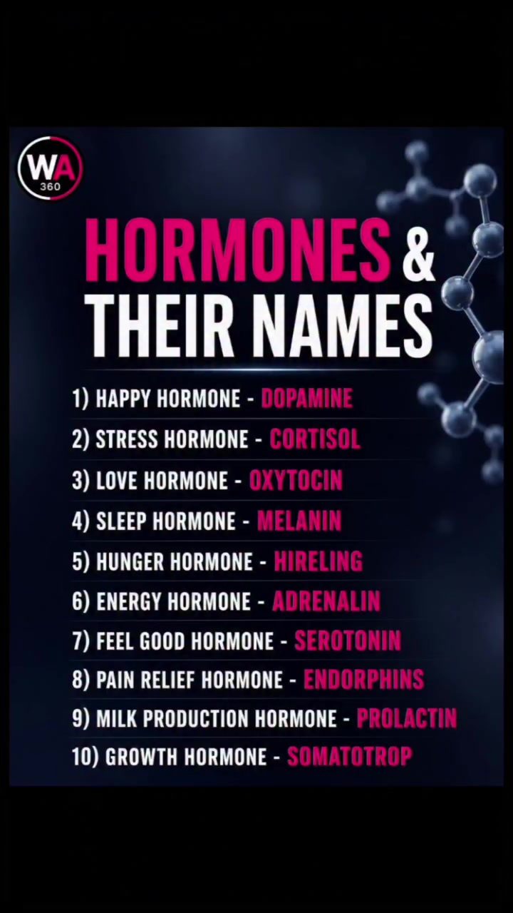 10 Essential Hormones That Regulate Your Body