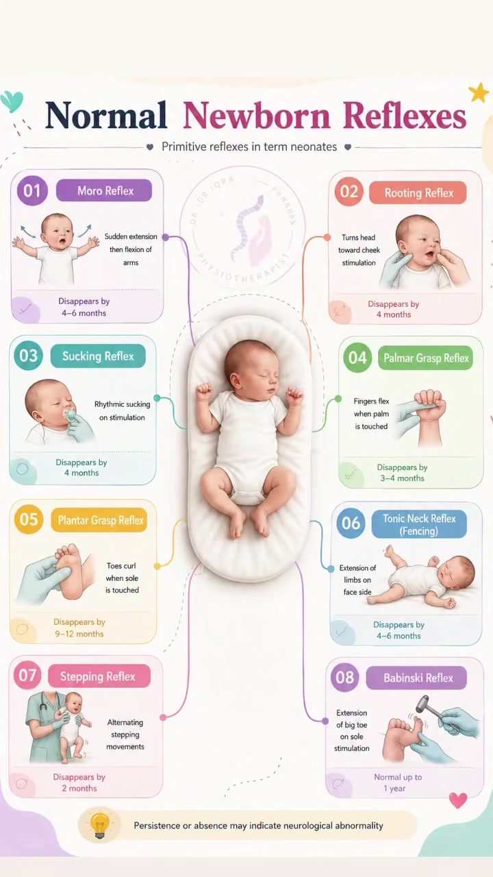 Understanding Essential Newborn Reflexes and Their Timeline