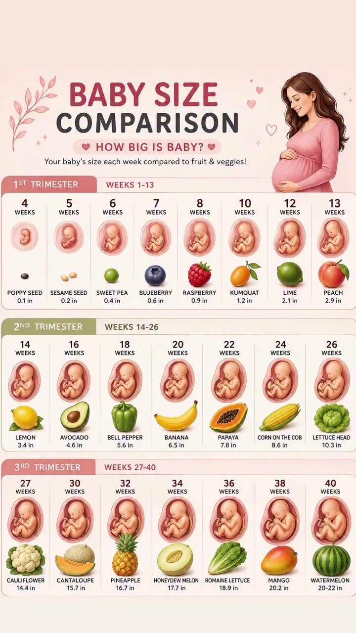 Baby Growth Week by Week: Fruit & Veggie Comparisons