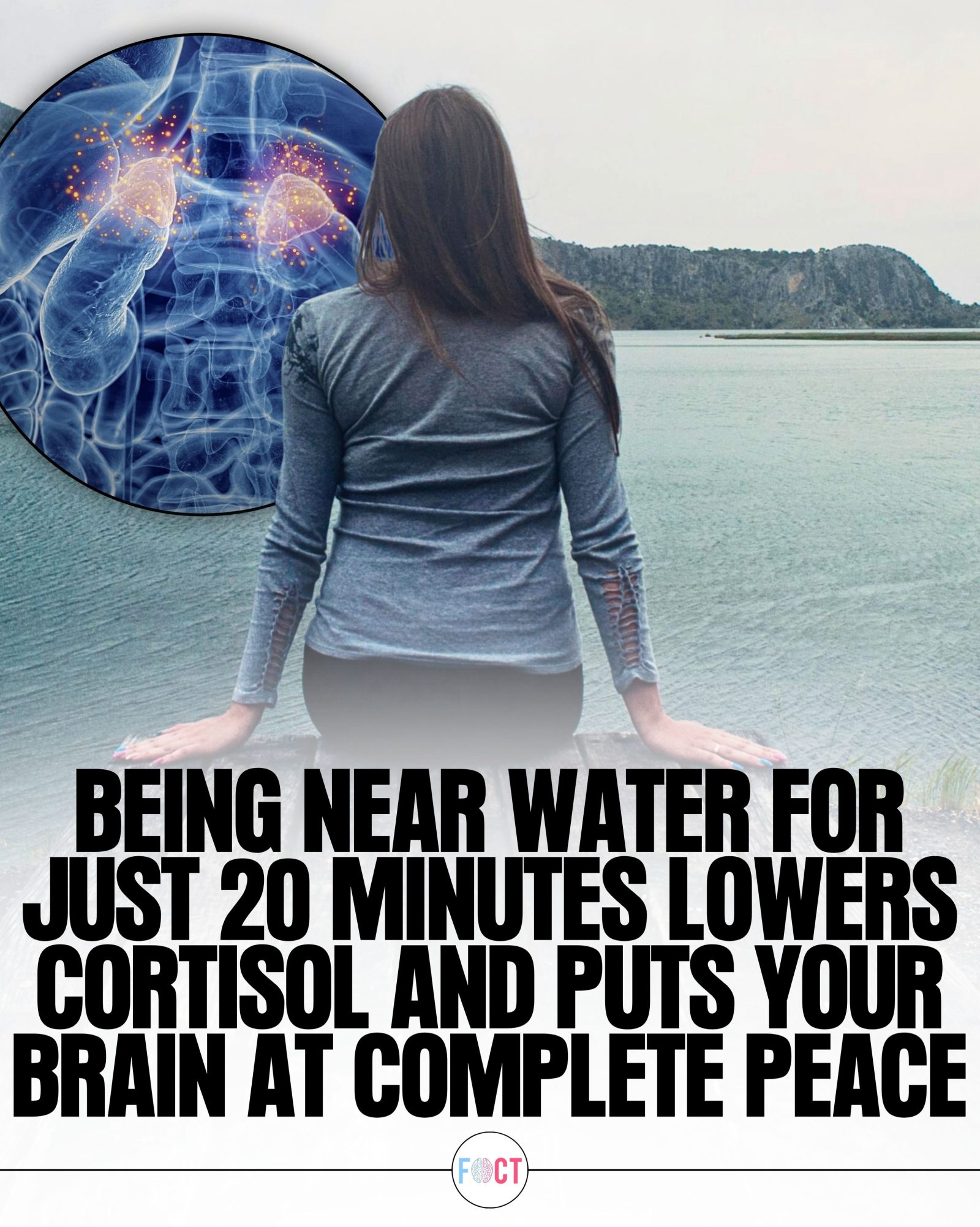 Reducing Stress in 20 Minutes: The Power of Water Nearby