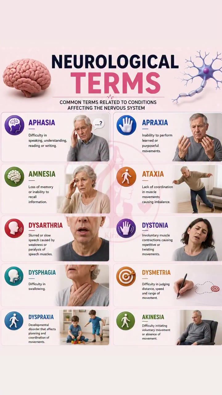 Understanding Key Neurological Terms: A Simple Guide