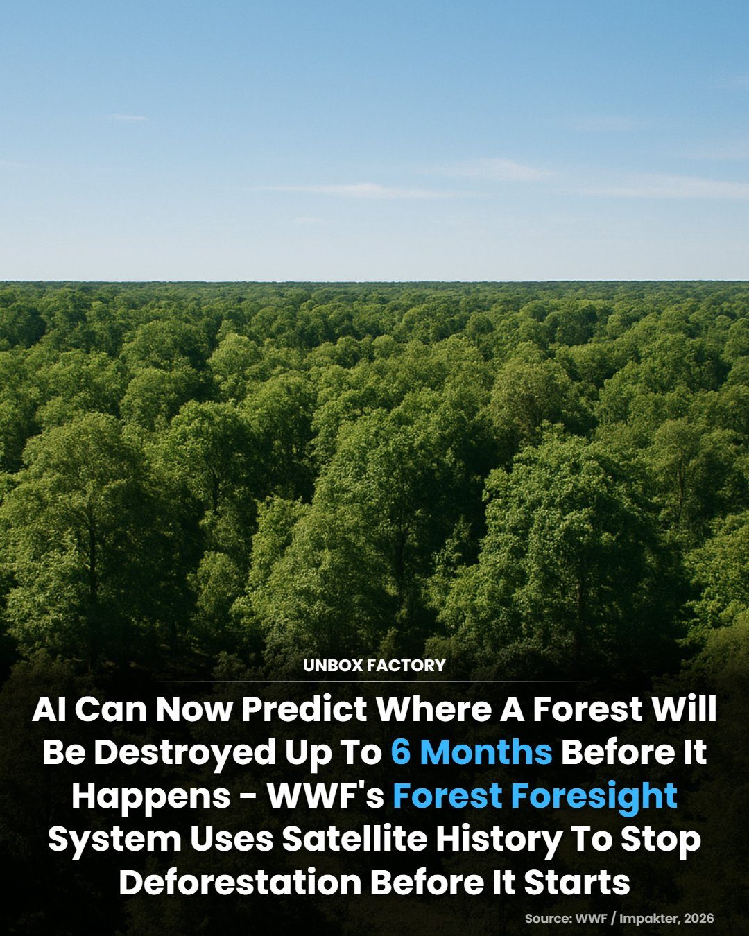 WWF's AI Predicts Deforestation Six Months Early