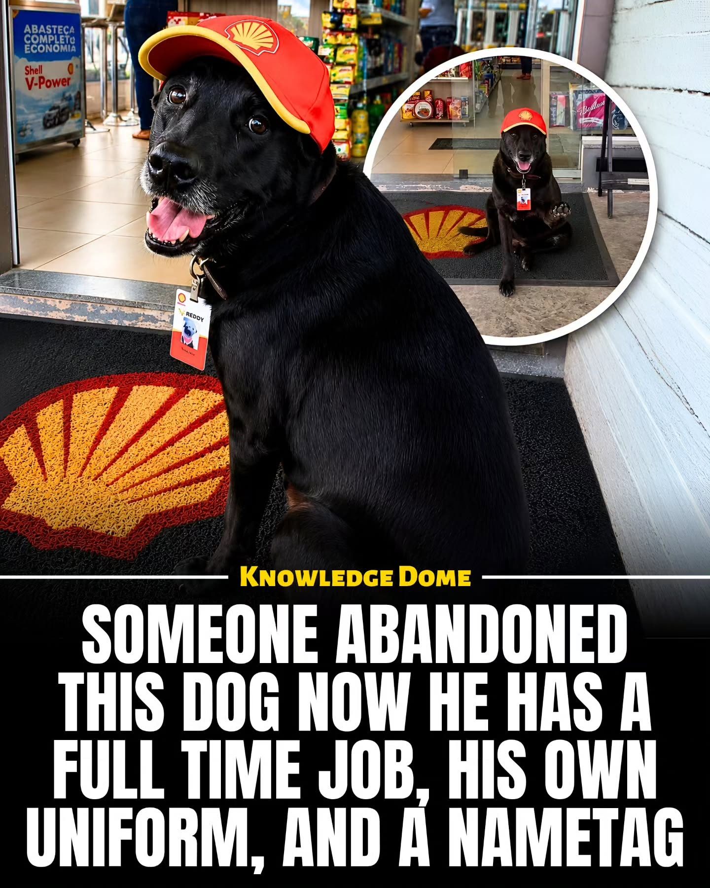 Shell's Abandoned Dog Adopted as Official Employee