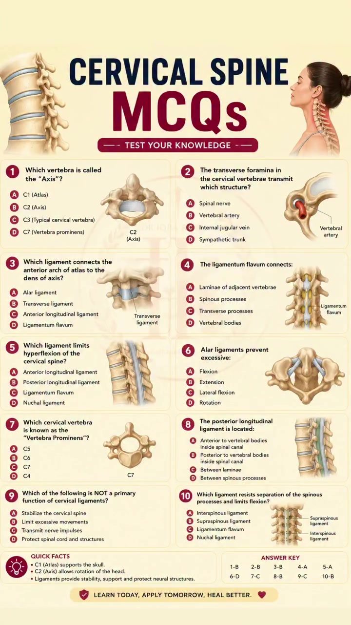 Cervical Spine Anatomy Quiz: Test Your Knowledge