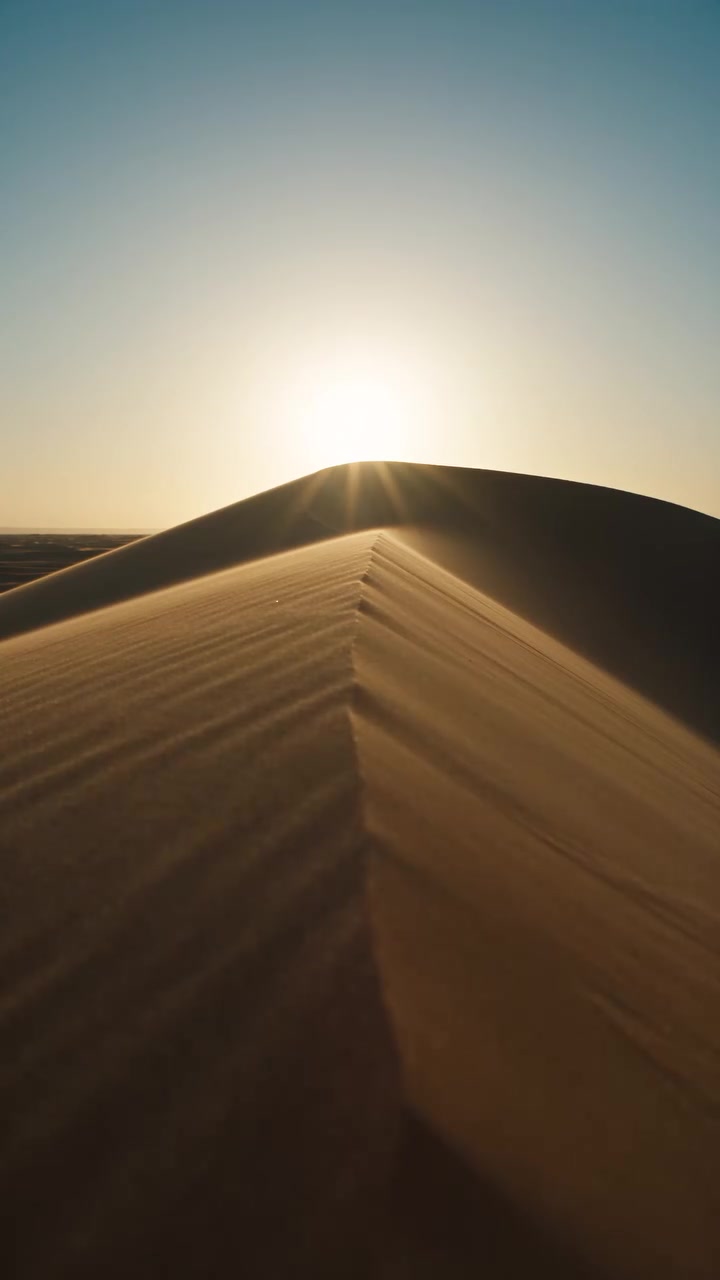 Sahara Dust Feeding Amazon Rainforest