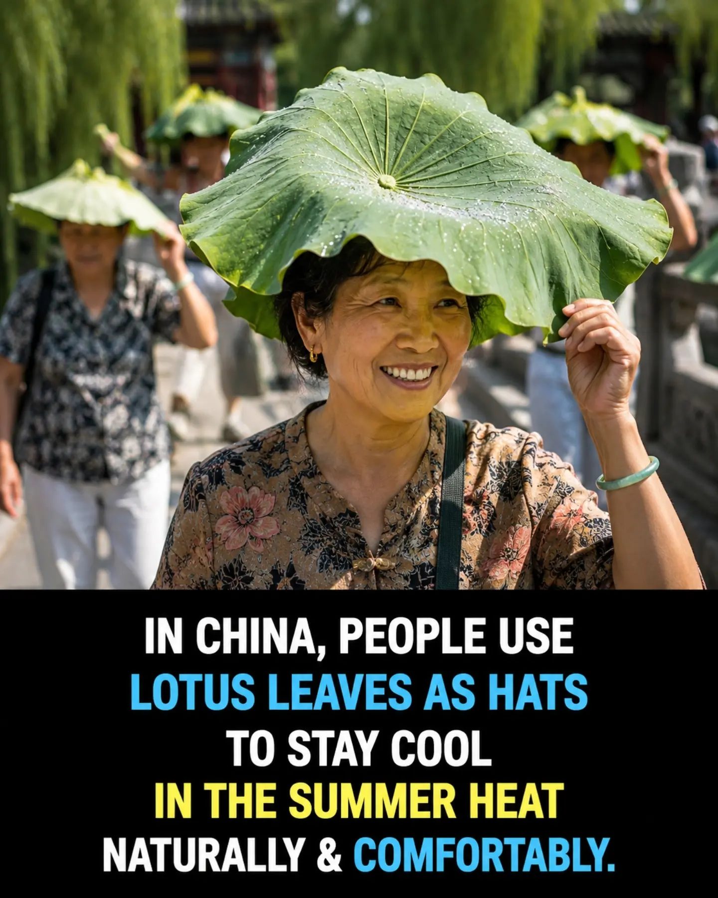 Traditional Chinese Summer Cooling: Lotus Leaf Hats