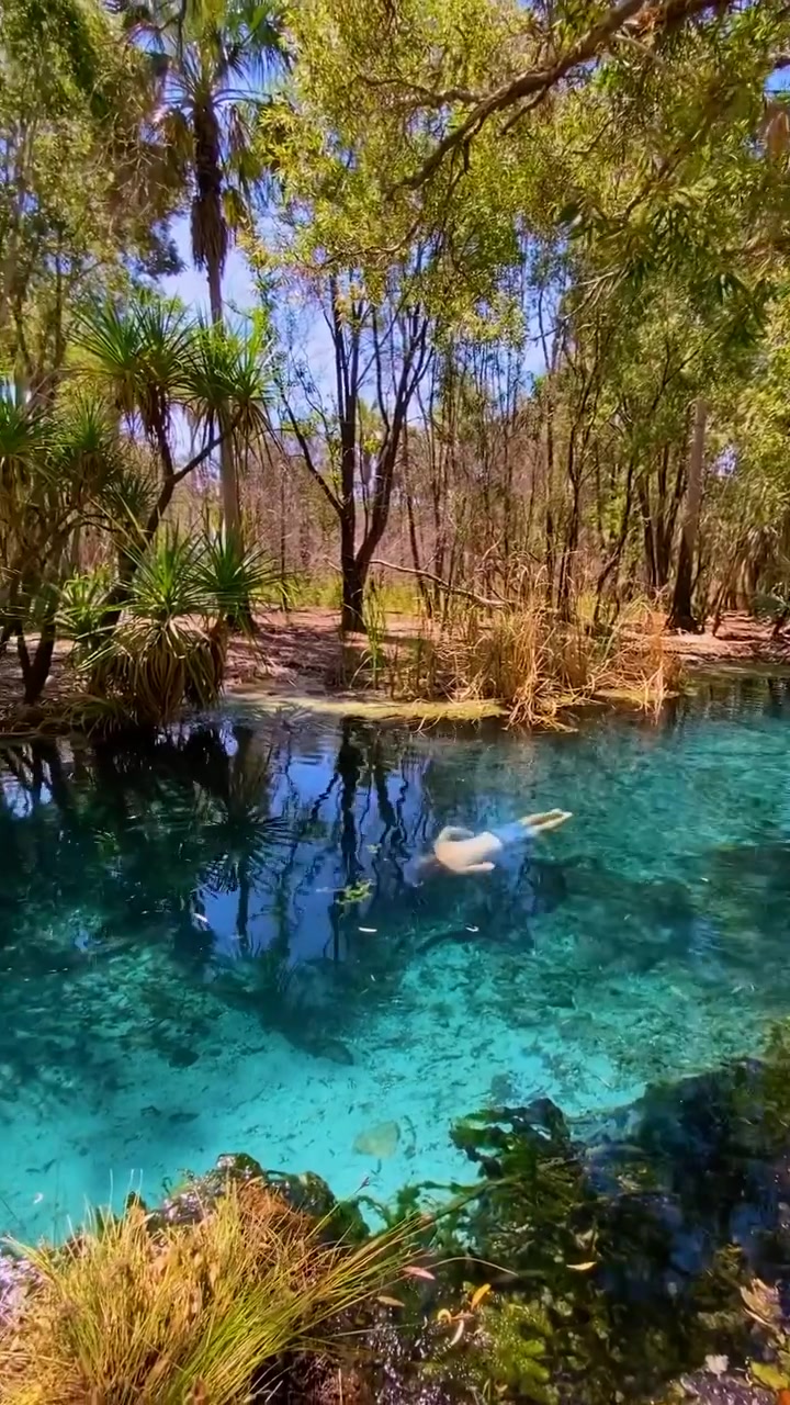 Swimming in Bitter Springs: Australia's Natural Oasis