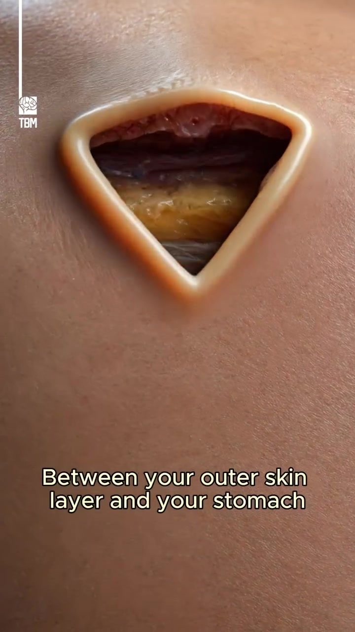 Layers of Protection: Understanding the Skin to Stomach Journey