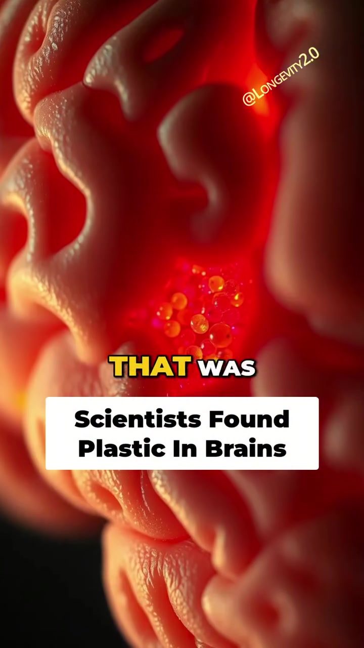 Plastic in Human Brains: A Hidden Health Crisis