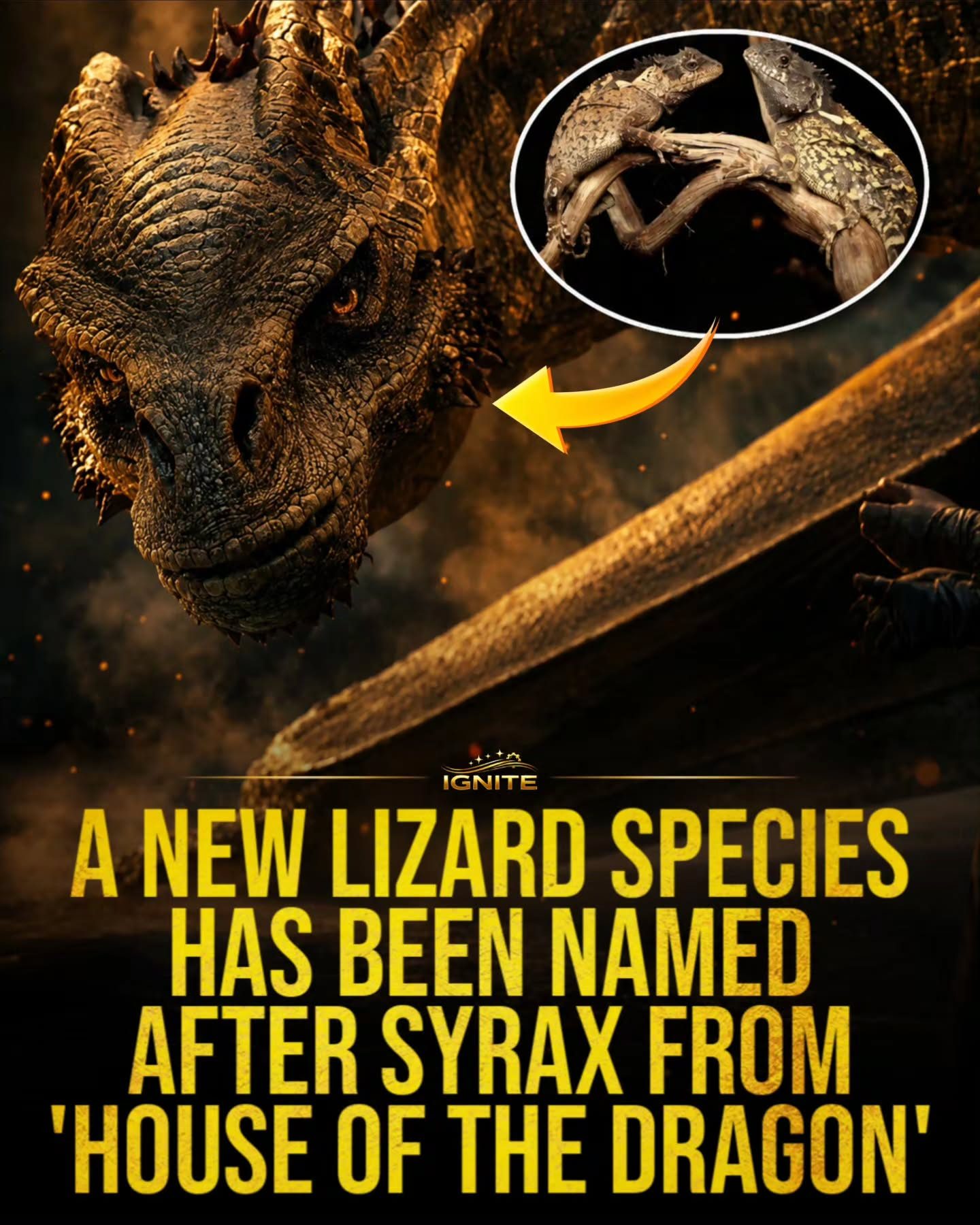 New Lizard Species Named After Syrax from "House of the Dragon