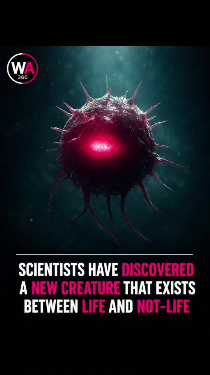 New Creature Blurs Line Between Life and Not-Life