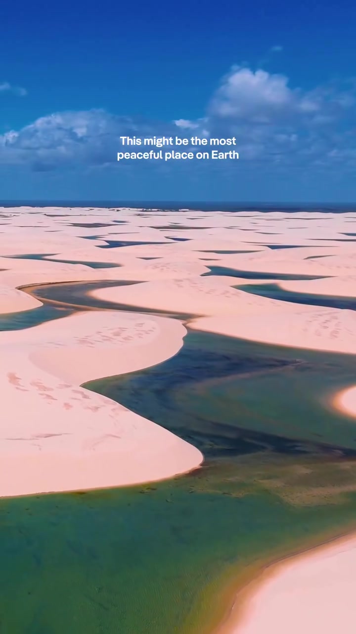 Serene Landscapes: Desert, Mangrove, and Coastline