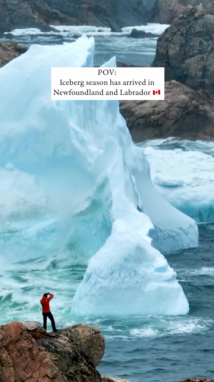 Iceberg Season in Newfoundland and Labrador