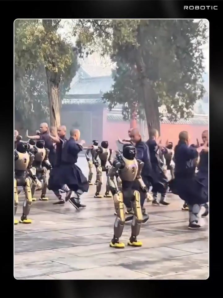 Kung Fu Meets Robotics at Shaolin Temple