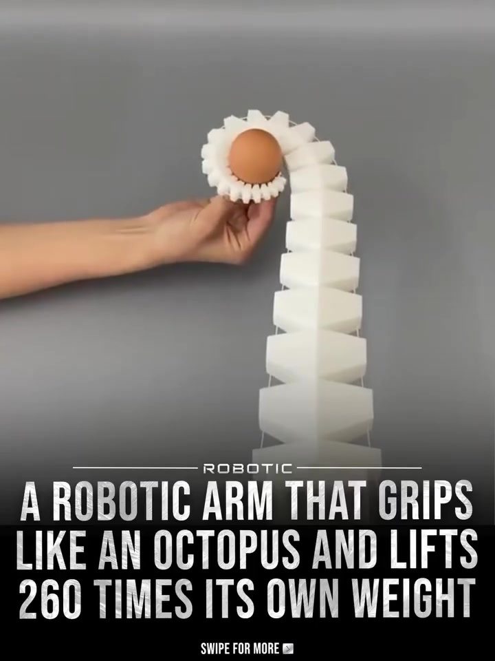 Inspired by Nature: The Octopus-Like Robotic Arm