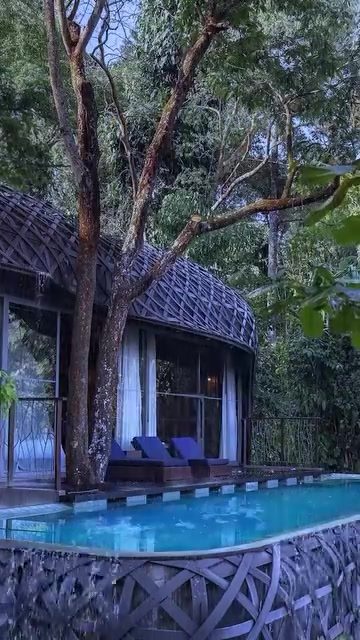 Treehouse Resorts: Where Luxury Meets Nature