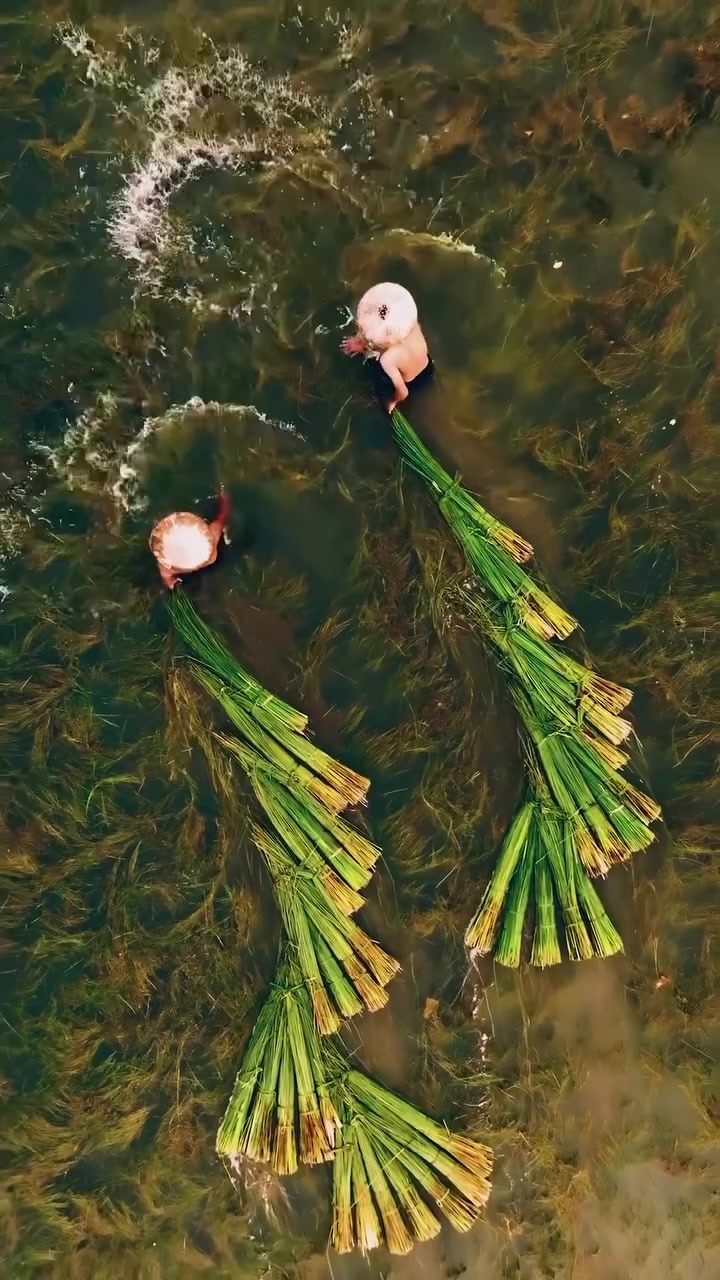 Mekong Delta Farmers' Water Splash Art