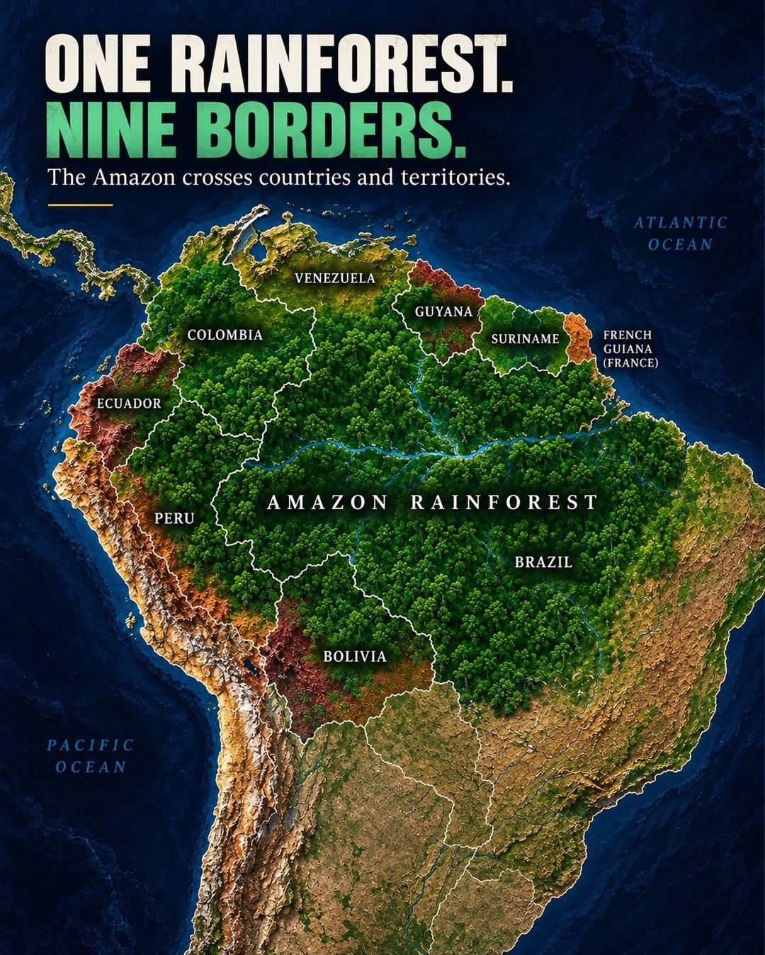 Amazon Rainforest Geography: Nine Countries It Crosses