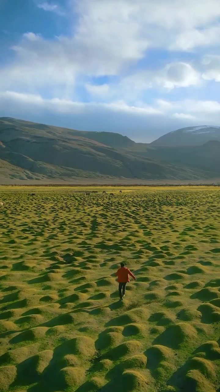 Walking Through Fields with Mountain Backdrop