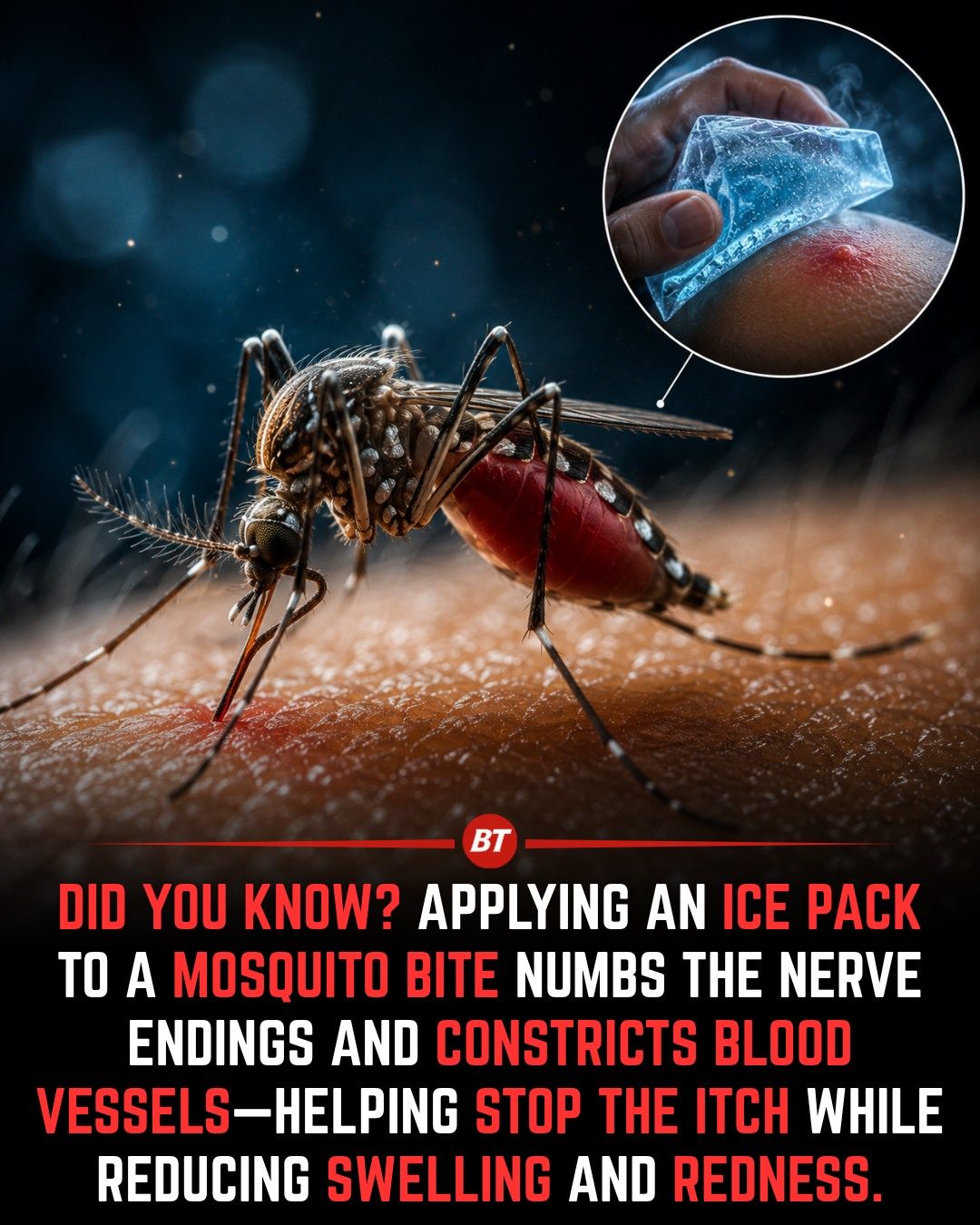 Ice Pack Trick to Calm Mosquito Bites