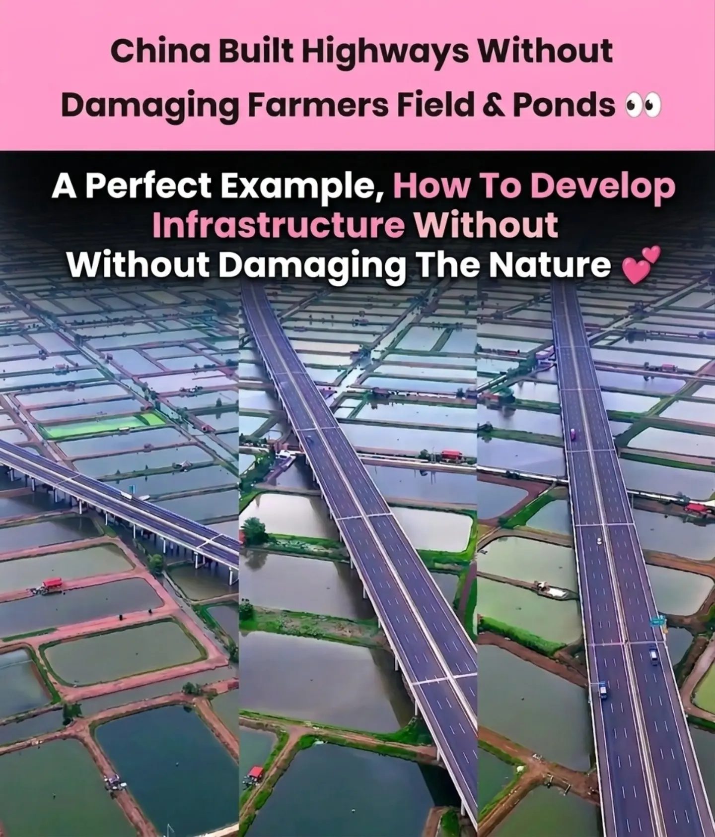 Sustainable Highway Construction in China: Protecting Nature