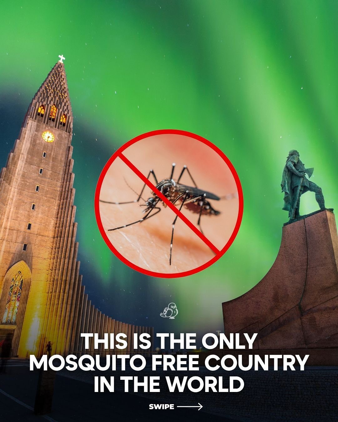 Why Iceland is the Only Mosquito-Free Country in the World